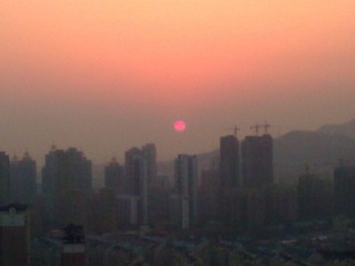 20120203_011.jpg