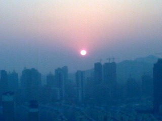 20120203_014.jpg