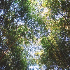 C7645F61-690C-4DD1-884F-EF20CC72E88B/L0/001