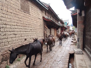 DSC00895.JPG