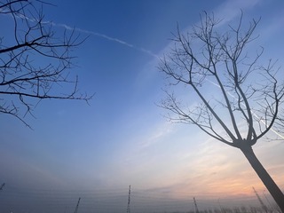 3C18DA96-7C16-4ACD-996C-9FA77FC7BF0C/L0/001