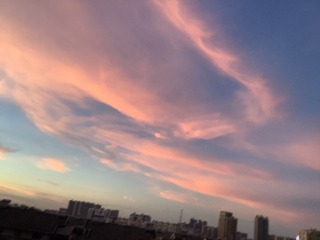 1399C2F9-66BB-45C2-BE50-C4732C0CF0A3/L0/001