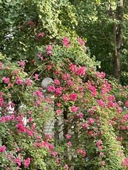 1DB57274-5846-44CA-8B5A-82C11BBC0826/L0/001