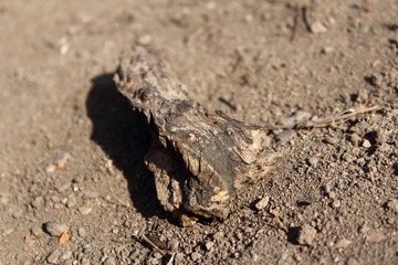 IMG_0314.JPG