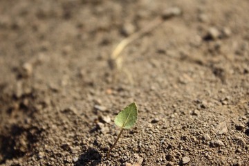 IMG_0319.JPG
