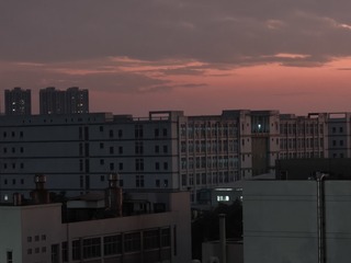 1000020603