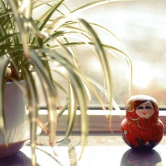 DPP_0901.jpg