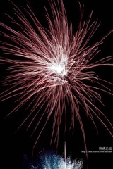 IMG_7530.jpg