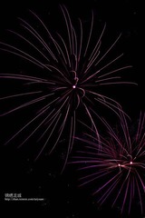 IMG_7547.jpg