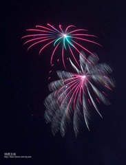 IMG_7554.jpg