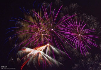 IMG_7564.jpg