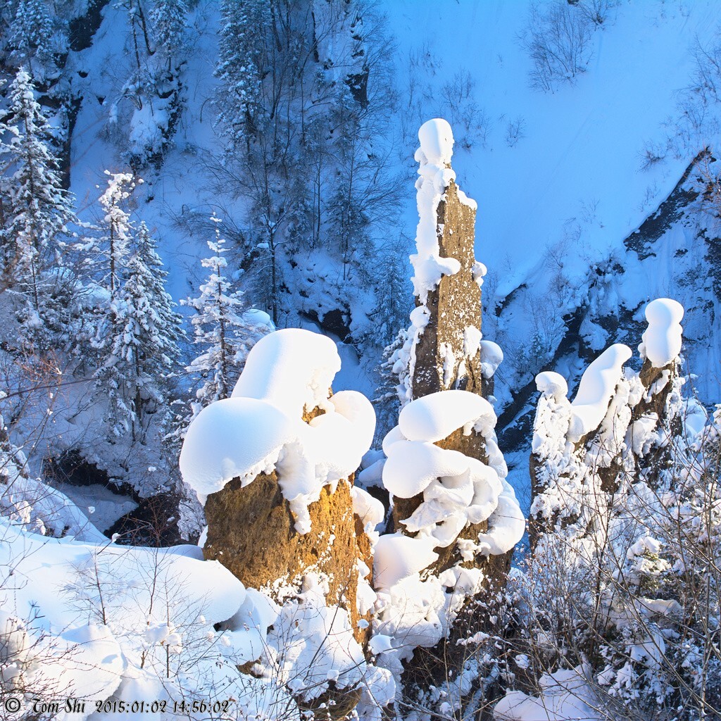 长白山深处，冬日西斜的阳光，照亮山谷一角。