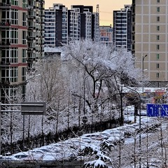 s_DSC_6221.jpg