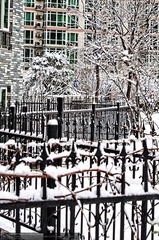 s_DSC_6259.jpg