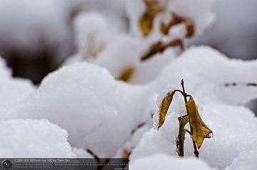 s_DSC_6275.jpg