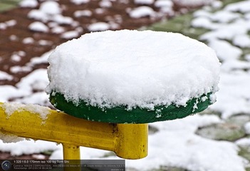 s_DSC_6276.jpg