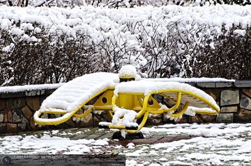 s_DSC_6277.jpg
