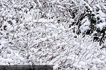 s_DSC_6292.jpg