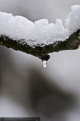 s_DSC_6230.jpg