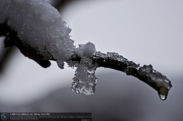 s_DSC_6233.jpg