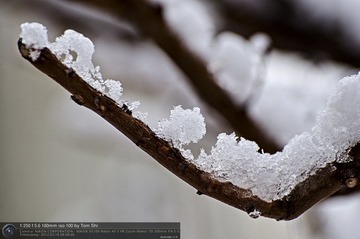 s_DSC_6237.jpg