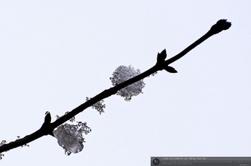 s_DSC_6243.jpg