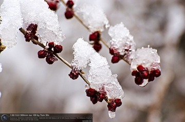 s_DSC_6244.jpg