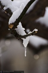 s_DSC_6251.jpg