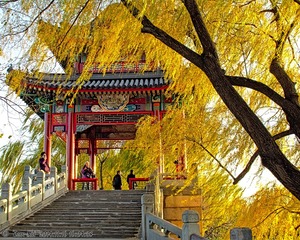 s_DSC_6625