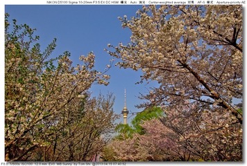 s_DSC_4378.jpg