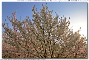 s_DSC_4440.jpg