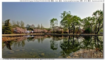 s_DSC_4536.jpg