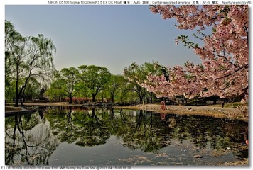 s_DSC_4537.jpg