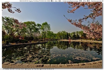 s_DSC_4545.jpg