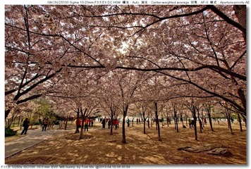 s_DSC_4554.jpg