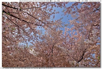 s_DSC_4562.jpg