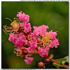 s_DSC_0005