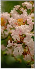 s_DSC_0007