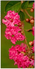s_DSC_0008