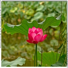 s_DSC_0032
