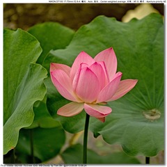 s_DSC_0034