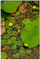 s_DSC_0046