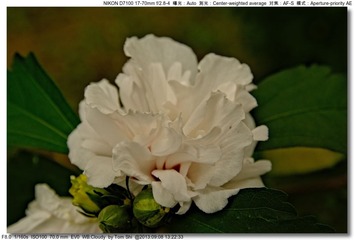 s_DSC_0051