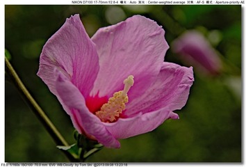 s_DSC_0052
