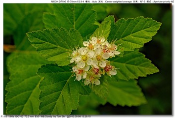 s_DSC_0062