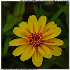 s_DSC_0083