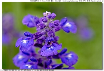 s_DSC_0087