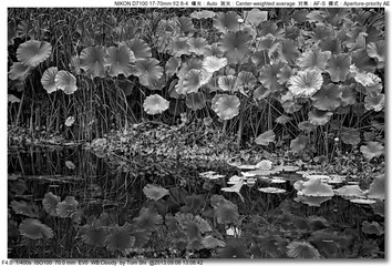 s_DSC_0036