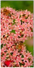 s_DSC_0094