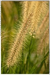 s_DSC_0098